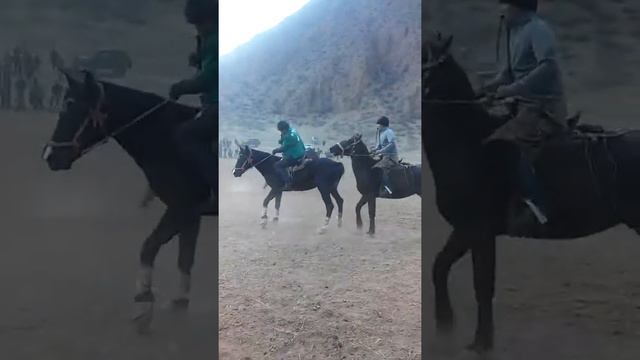 Сарыкамыш кокбору смотреть онлайн