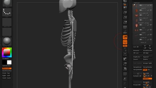 22 Pelvis смотреть онлайн