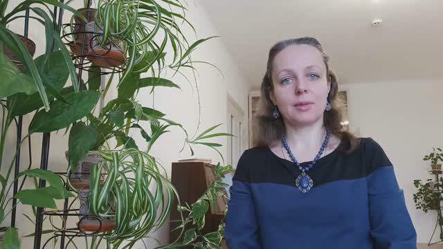 О чем этот канал смотреть онлайн