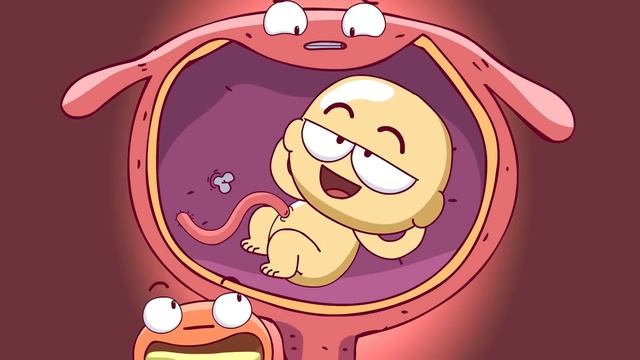 Your Organs During Pregnancy смотреть онлайн