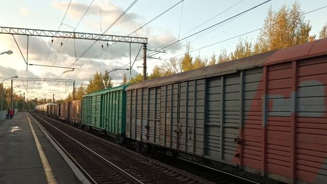 Электровоз 2ЭС4К-019 "Дончак" с грузовым поездом, пл. Понтонная, г. СПБ.,06.10.23. смотреть онлайн