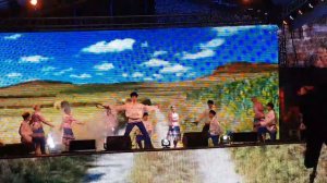 Вербохлест