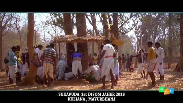 Worship of Baha Bonga||1st Disom Jaher Baha Bonga 2018||sukapuda, Mayurbhanj смотреть онлайн