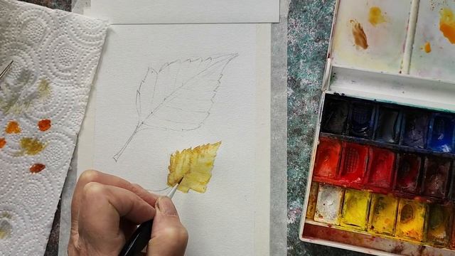 Осенние листья акварелью смотреть онлайн