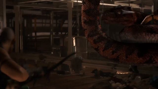 Boa vs. Python | Boa Constricts Eve | Creature Features смотреть онлайн