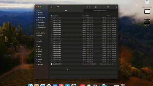 Install printer Canon LBP 2900 MacOS 14 (Sonoma) смотреть онлайн