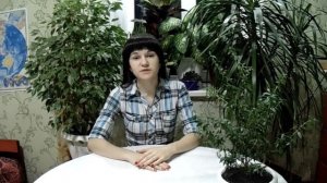 Мирт. Уход за миртом в домашних условиях.