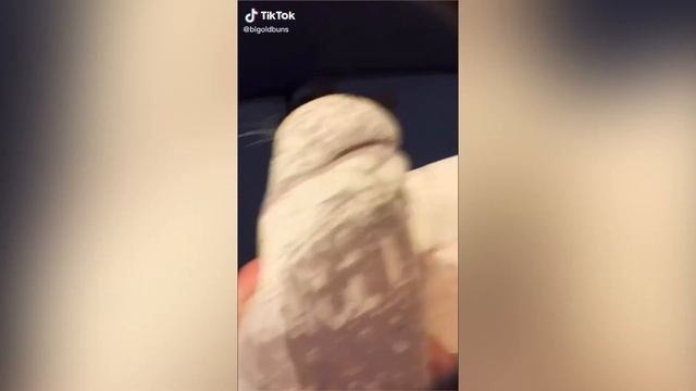Очень странный кот под странную музыку занимается странными вещами strange cat doing strange things смотреть онлайн