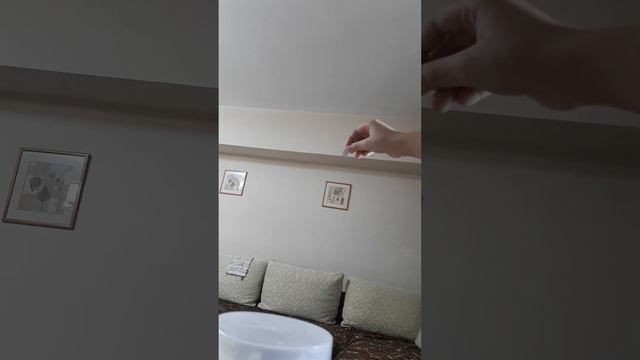 скибиди вселенная скибиди Эльдара 9 смотреть онлайн