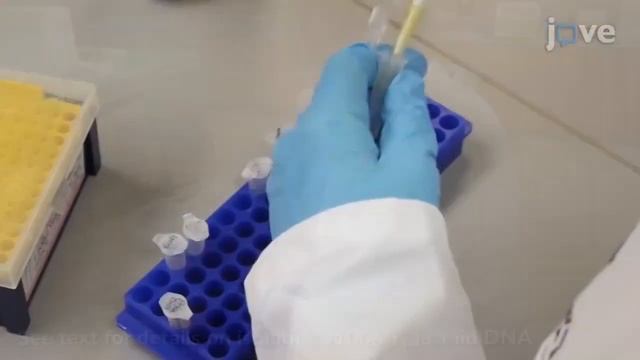 New Bacterial Biosensor For Presumptive Detection-Gunshot Residue l Protocol Preview смотреть онлайн