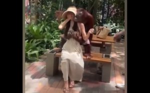 Смешные приколы Февраль 2023 #92