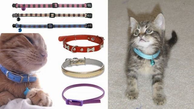 Ошейник для кошек с маячком смотреть онлайн