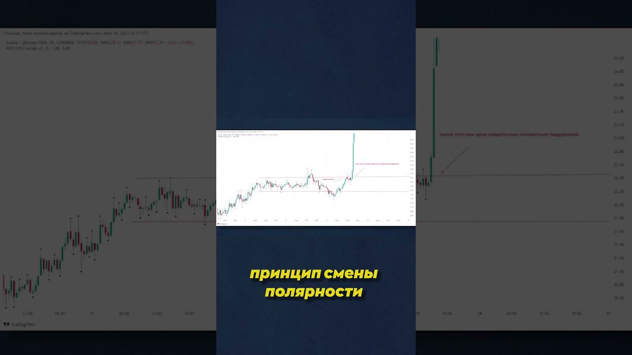 ПРИНЦЫП СМЕНЫ ПОЛЕРНОСТИ смотреть онлайн