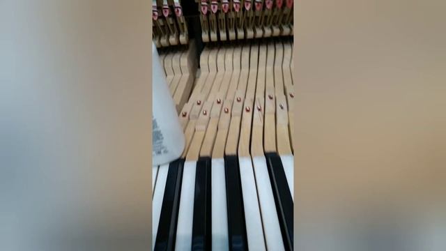Как БЕСПЛАТНО устранить скрип клавиш на пианино/рояле | Creaky keys piano fixing смотреть онлайн