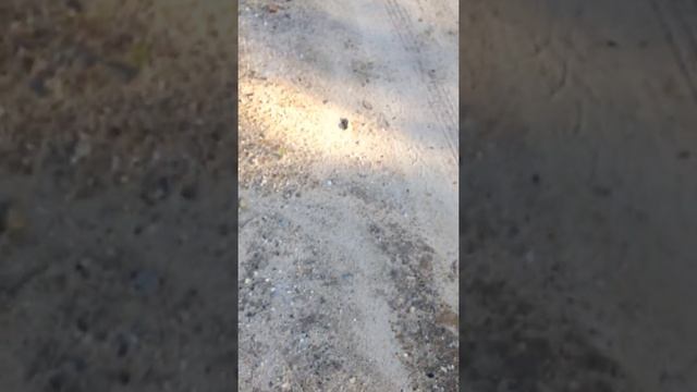 Поход за сердоликами в ЯНАО (Часть 1) смотреть онлайн