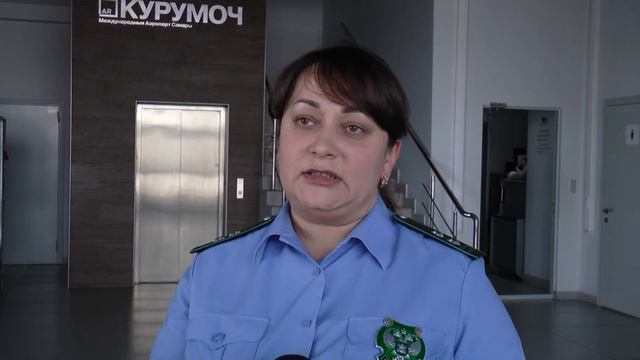 Проверка цветов в аэропорту Курумоч смотреть онлайн