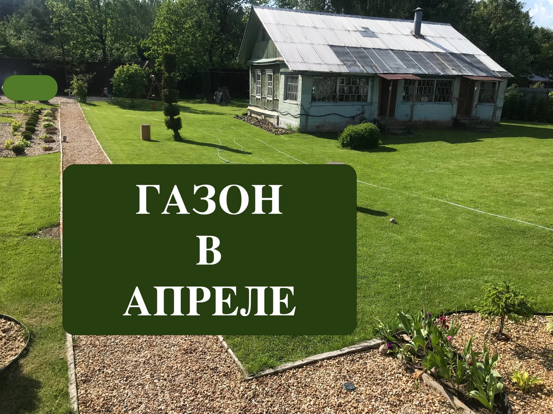 Газон весной. Апрель