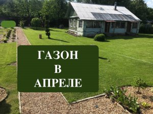 Газон весной. Апрель