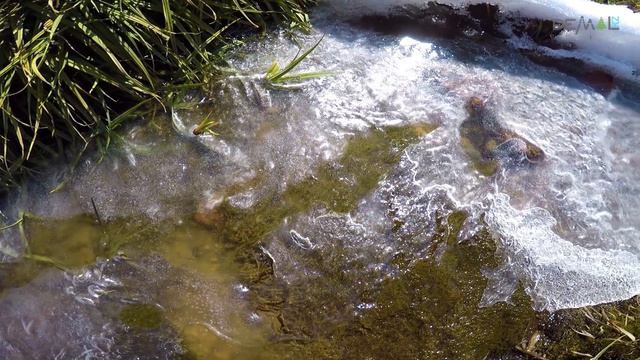 Малый Космос смотреть онлайн