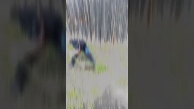 Сын помошник