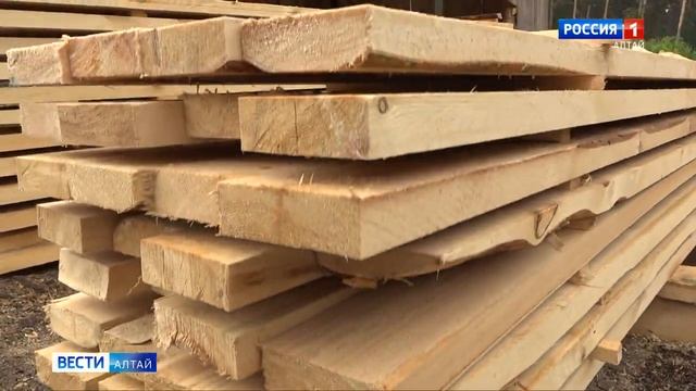 Около половины лесов Алтайского края переведены из ведения арендатора под государственный контроль смотреть онлайн