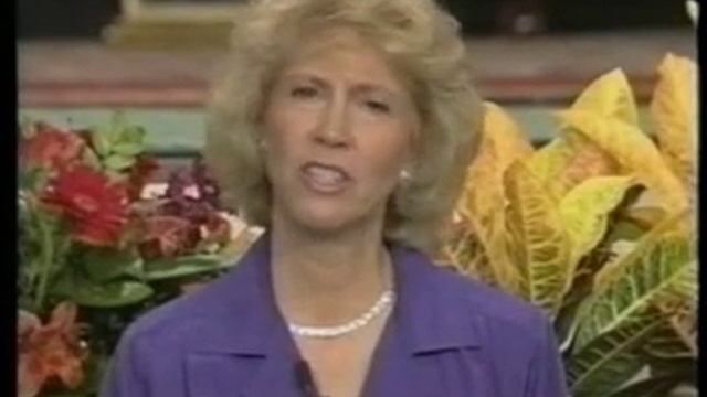 Созидание дома 6 смотреть онлайн