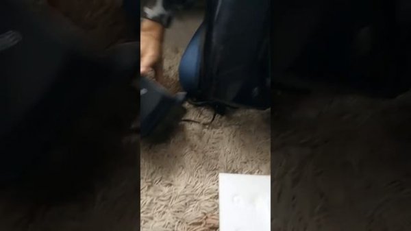 #multimarta Увлажнитель воздуха с ионизацией Marta mt-2689