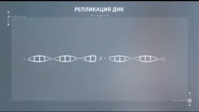 Биология. 10-сынып. Репликация механизмі. ДНҚ. Мезольсон мен Сталь тәжірибесі. Чаргафф ережесі смотреть онлайн