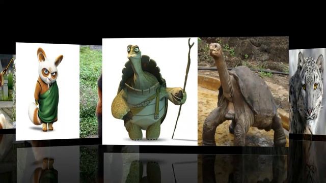 Kung Fu Panda in real life characters (master shifuvs tai lung , master tiger,masters snake) смотреть онлайн