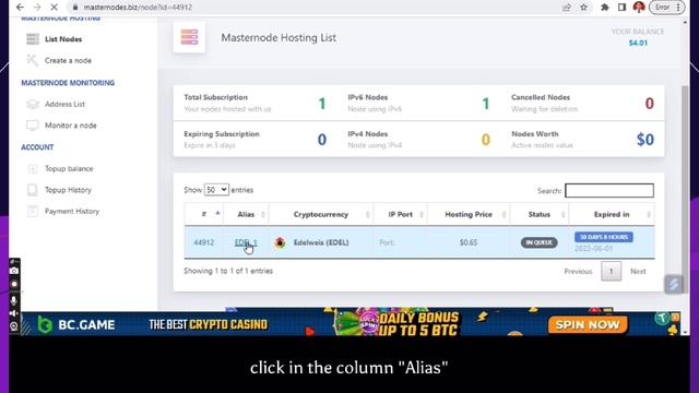 How to Create a Masternode at Masternode.biz hosting platform смотреть онлайн