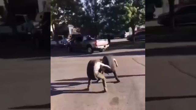 Эта битва будет легендарной