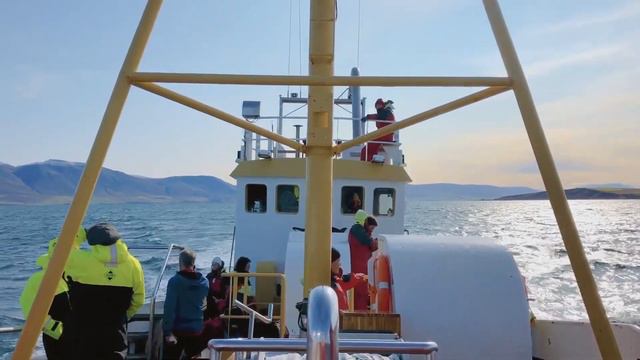 Исландия тур в июне 2024 смотреть онлайн