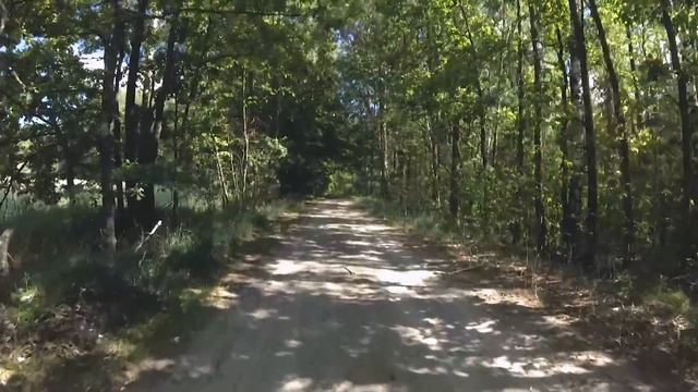 Почему я перестал бояться собак смотреть онлайн