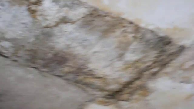 Территория Военного городка 17 (№ 1) г. Новосибирск под управлением ОАО Славянка МОРФ. смотреть онлайн