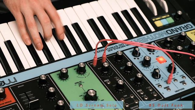 Moog Grandmother: 50 Patches: Bass, Lead, Arp, Chords Demo смотреть онлайн