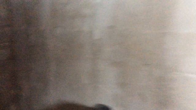 Пол залит в комнате отдыха, вагонка домиком( смотреть онлайн