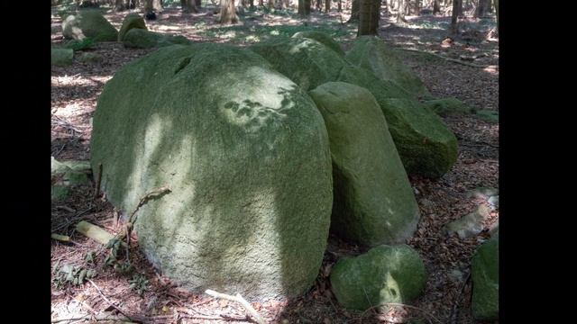 Glumsø Østerskov langdysse смотреть онлайн