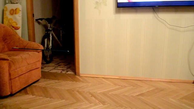 СПО "Созвездие" для СОП "Стрела" смотреть онлайн