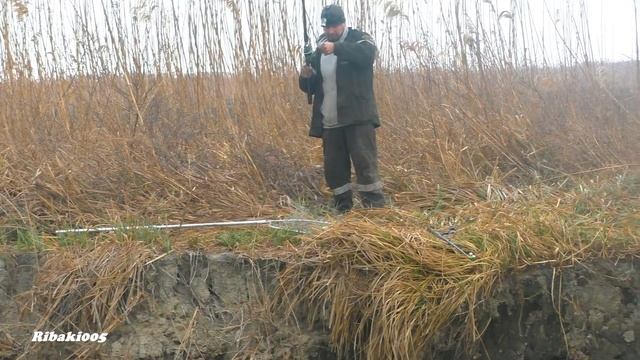 Весенняя рабылка на сазана в 2022 году смотреть онлайн