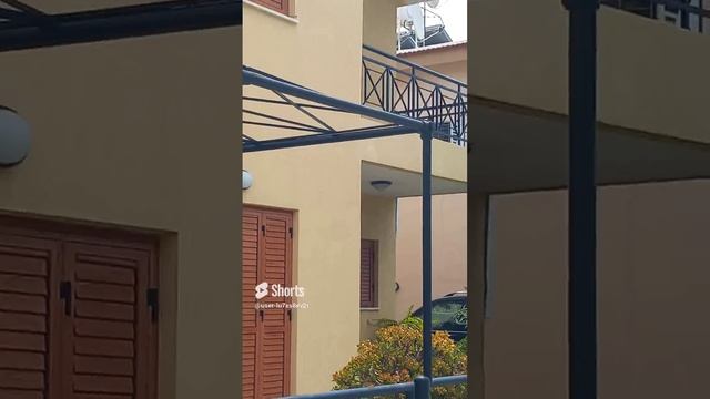 Кипр, Лимасол, дом, дерево с плодами, улица