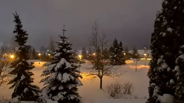 Шум пылесоса, очень быстро(!!!) успакаивает смотреть онлайн