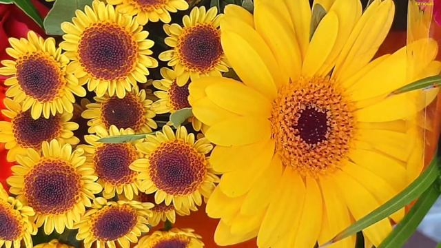 Если ты не веришь в судьбу... смотреть онлайн