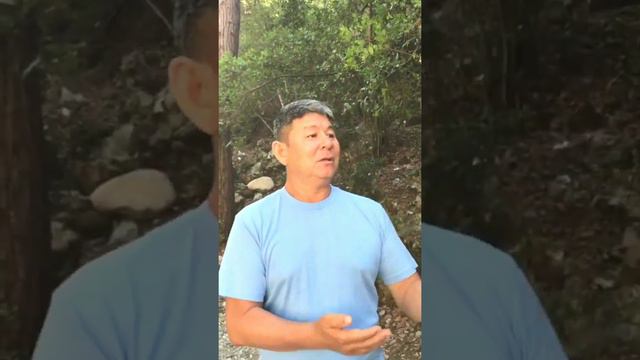 Жанат Кожамжаров - доброта. смотреть онлайн