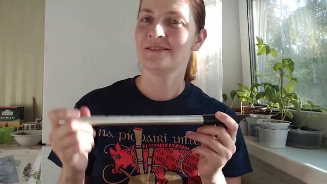 Snowy Path slip jig on tin whistle | АНОНС вебинара по вистлам, старт 12.07.2020 в 19:00 мск смотреть онлайн