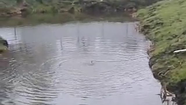 video 2014 11 14 14 05 43 смотреть онлайн