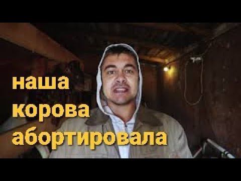 МЫ ПОТЕРЯЛИ ТЕЛЁНКА 18+ смотреть онлайн