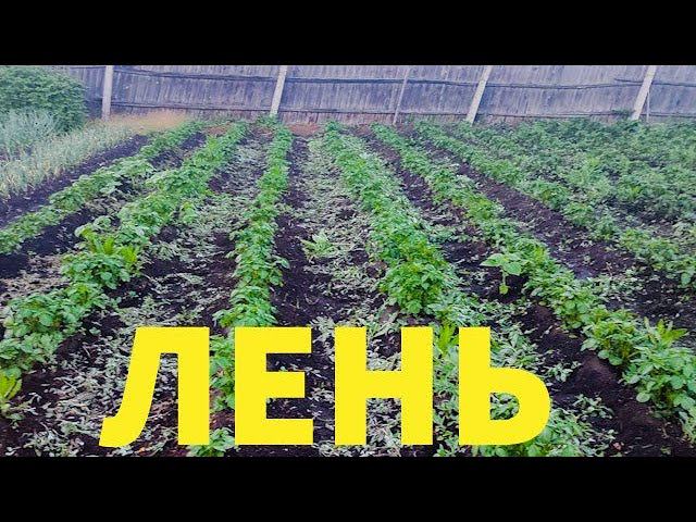 Лень творит чудеса Как полоть картошку быстро Laziness works wonders How to weed potatoes quickly смотреть онлайн