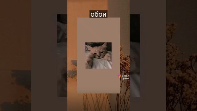 Без названия