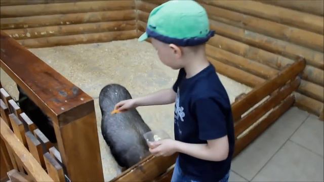 VLOG/#КОНТАКТНЫЙ ЗООПАРК/Часть 1 смотреть онлайн