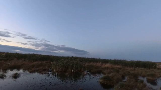 Охота на уток 2021 Отличная вечерка смотреть онлайн